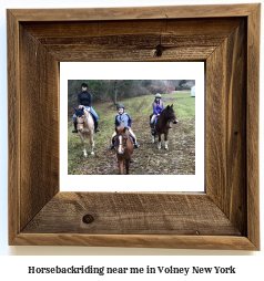 horseback riding near me in Volney, New York